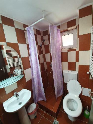 Hostal Cabana Brandusa