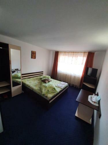 Hostal Cabana Brandusa