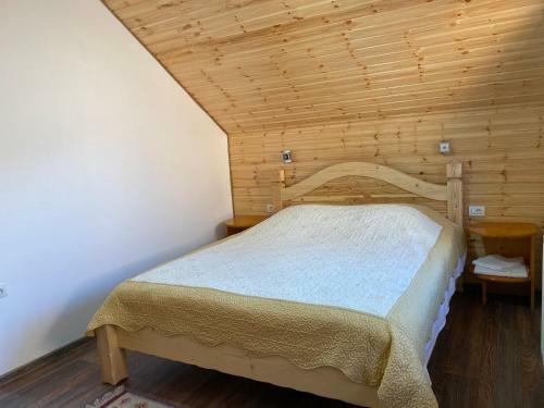Hostal Pensiunea Casa Alexandra
