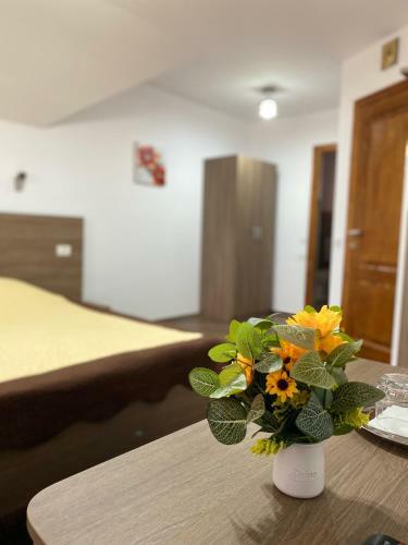 Hostal Pensiunea Casa Alexandra