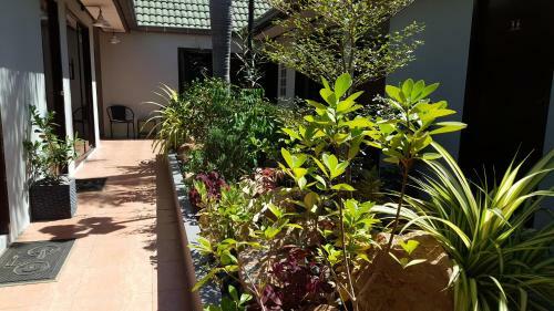 Hotel The New Dao Caf�
