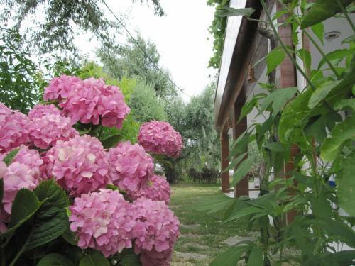 Apartamento Uysallar Koy Evi