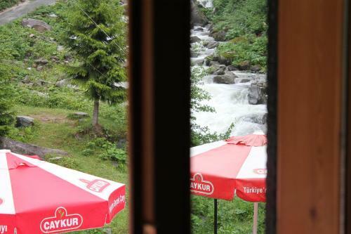 Agroturismo Ayder Avusor Hotel