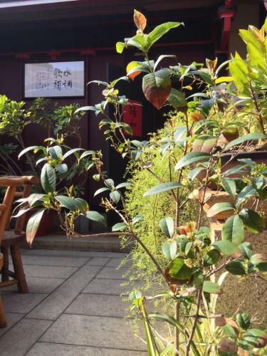 Bed & Breakfast Grace Homestay
