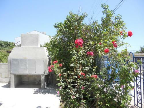 Hostal Agatopolis Villa