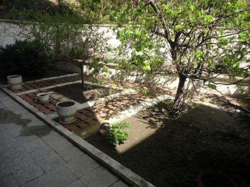 Hostal Guest Rooms Casa Luba