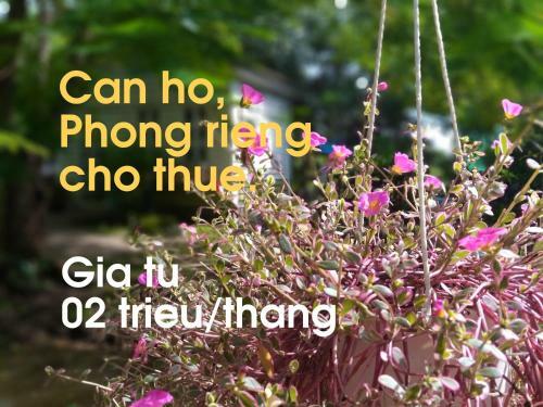 Giao Diem Homestay