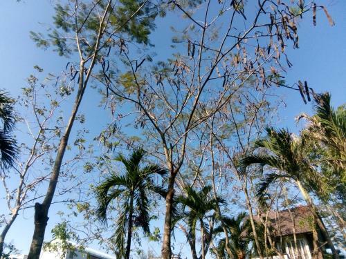 Giao Diem Homestay