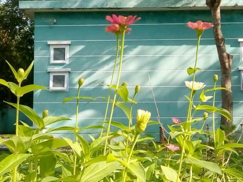 Giao Diem Homestay