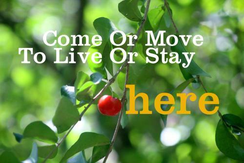 Giao Diem Homestay