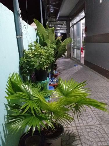 Hostal Nguy�n Anh Beach Guesthouse