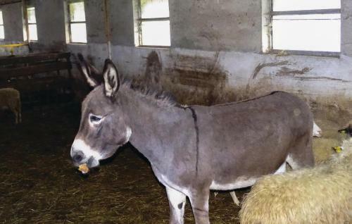 Holiday Home Semic With Fireplace 02