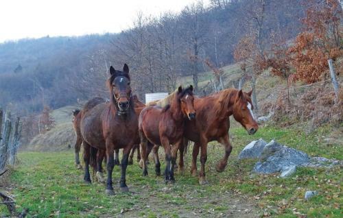 Holiday Home Semic With Fireplace 02