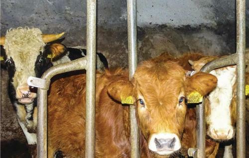 Holiday Home Semic With Fireplace 02