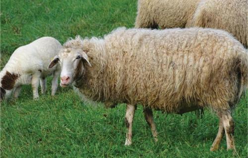 Holiday Home Semic With Fireplace 02