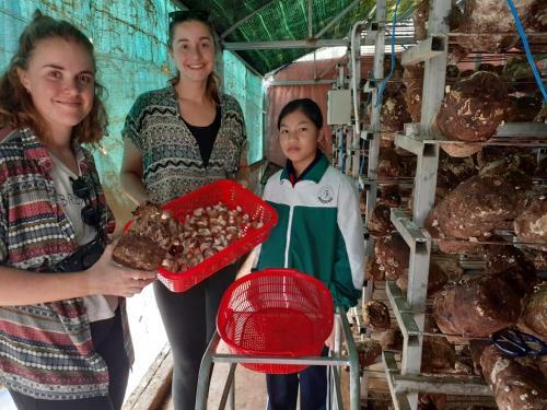 Homestay Da Blah