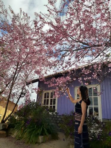 Homestay Da Blah