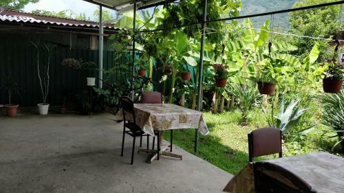 Hostal Tikhanya Gavan Guest House