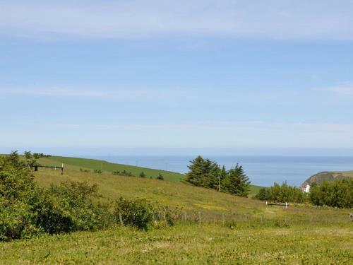 South Cross Slacks Farmhouse