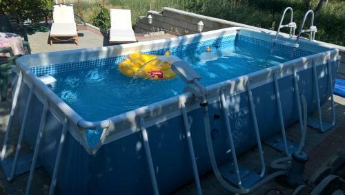 Hostal Guest House Delphini