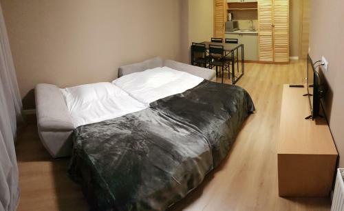 Modern Family Apartment Orbi Palace Bakuriani