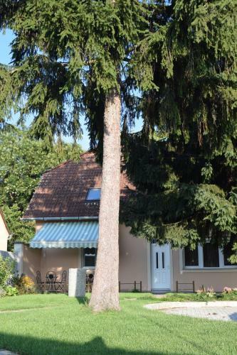 Hostal La Mia Casa Vend�gh�z