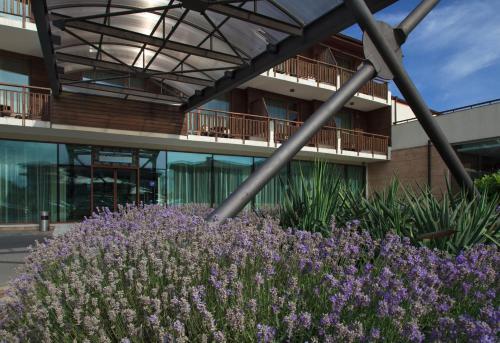 Hotel Garden Of Eden Complex