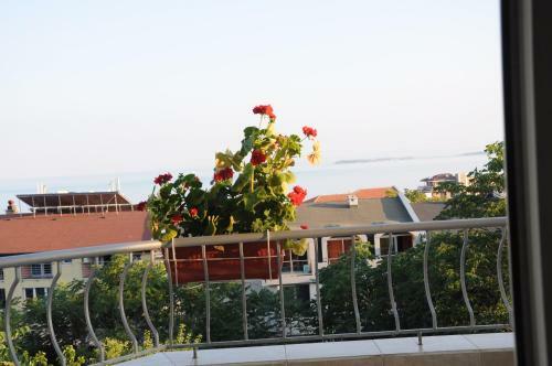 Hotel Babeva