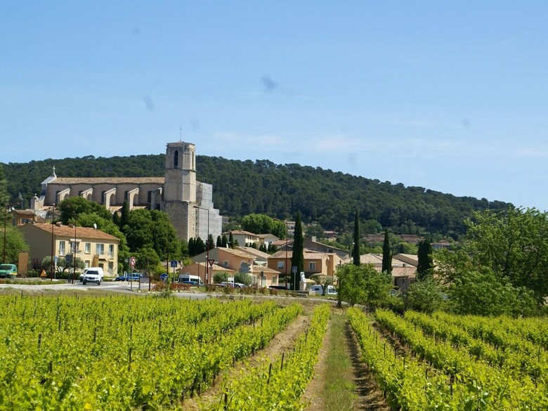 Holiday Home In Saint-antonin-du-var With Private Pool