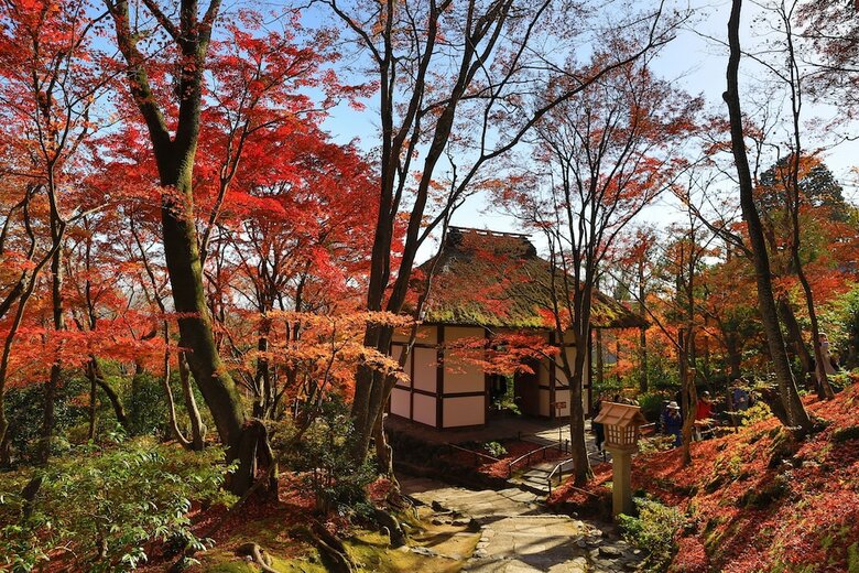 Guesthouse Sagaarashiyama