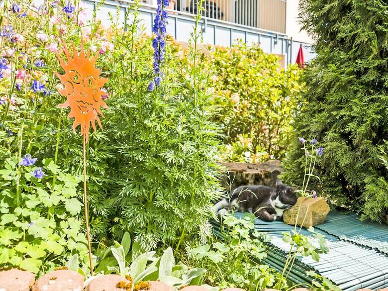 Charming Apartment In Weinsheim With Garden