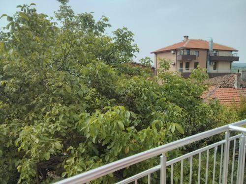 Hostal Guest House Rezvaya
