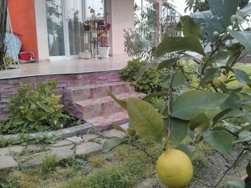 Hostal Guest House Rezvaya