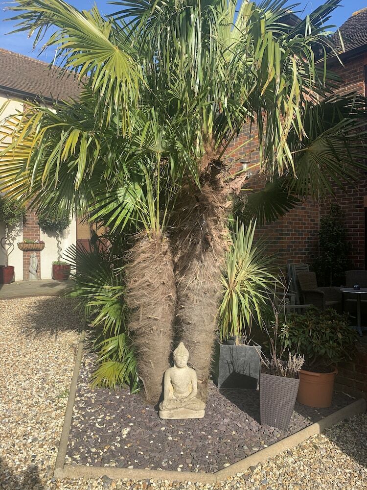 King Canute Apartment - Crown Lettings