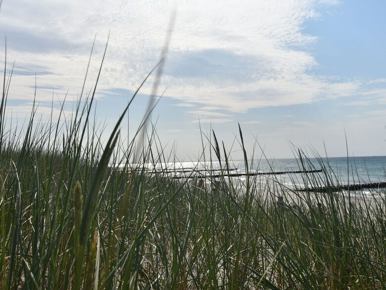 Spacious Apartment In Retschow With Private Terrace