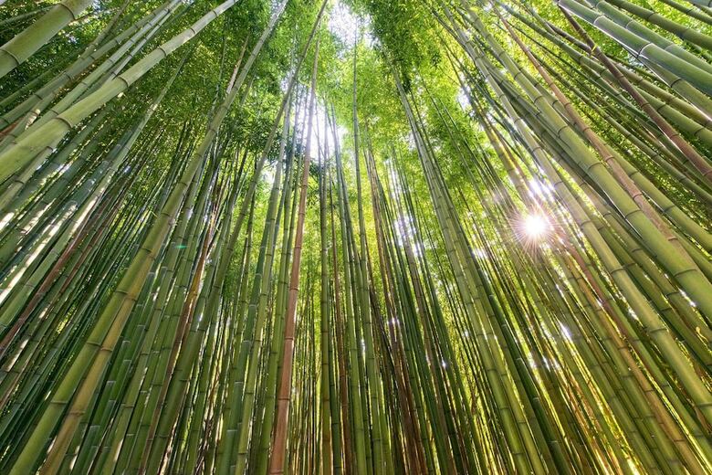 Hotel Terme Di Stigliano