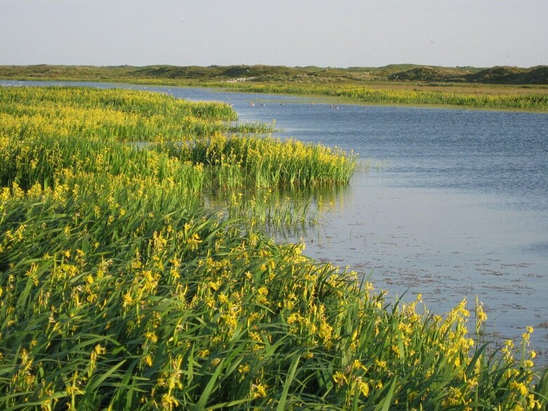 Spacious Villa With Dishwasher And Deco Fireplace On Texel