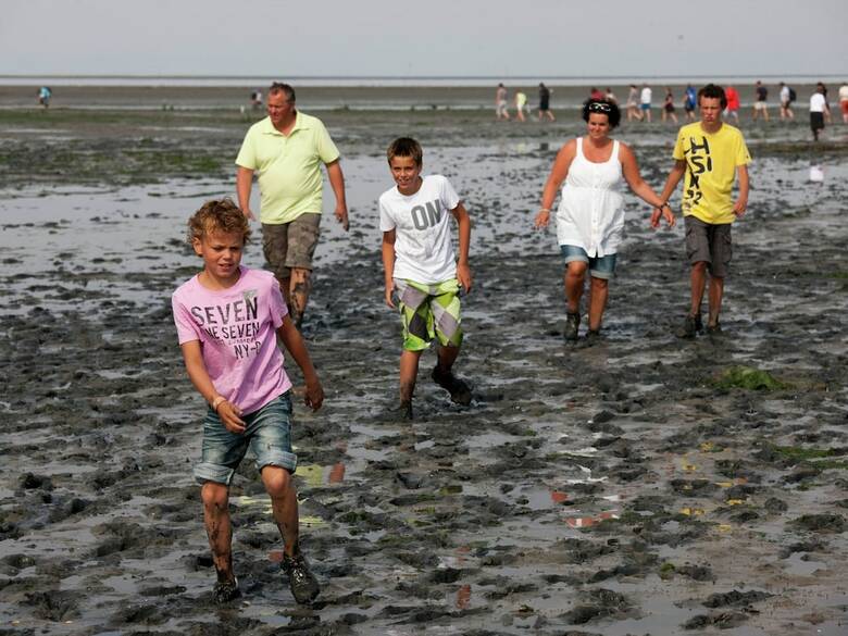 Spacious Villa With Dishwasher And Deco Fireplace On Texel
