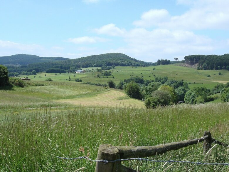 Cozy Holiday Home In Hallenberg With Terrace