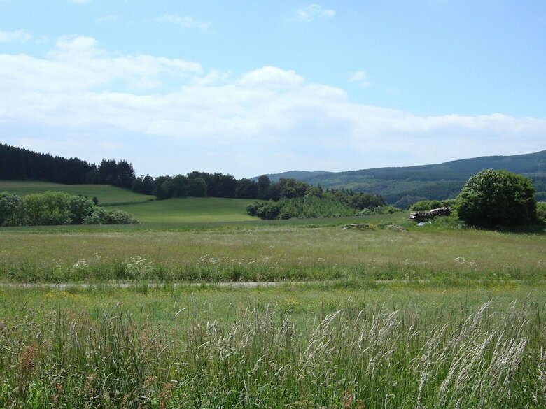 Cozy Holiday Home In Hallenberg With Terrace