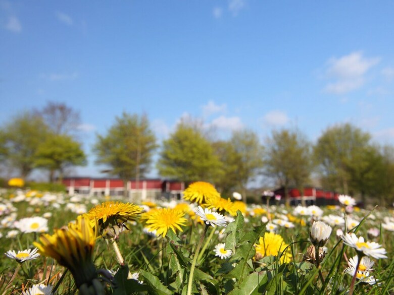 Well-kept Bungalow With Microwave, 4 Km. From Valkenburg