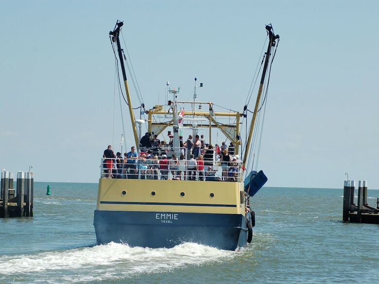 Traditional Villa With Dishwasher, On Texel, Sea At 2 Km