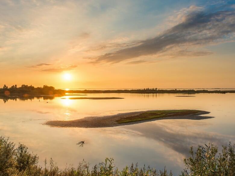 Modern, Sustainably Built Bungalow Between 2 Nature Reserves