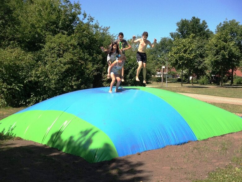 Thatched Lodge With A Combi Microwave, In Green Twente