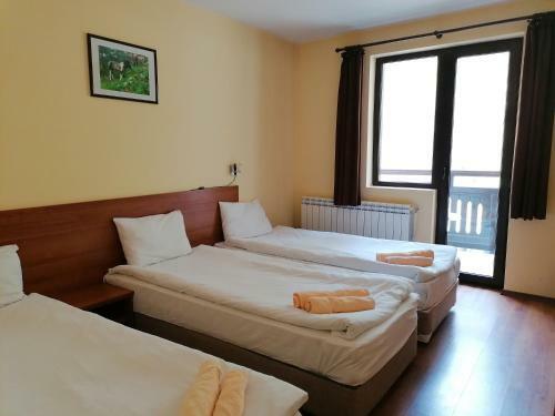 Hotel Rusaliite Adventure House