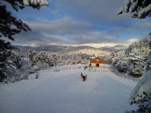 Hotel Rusaliite Adventure House