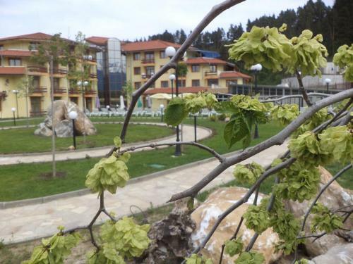 Spa Hotel Rimska Banya