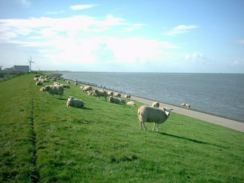 Nice House With A Dishwasher, Near The Wadden Sea