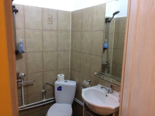 Hostal Pensiunea Lili Novaci