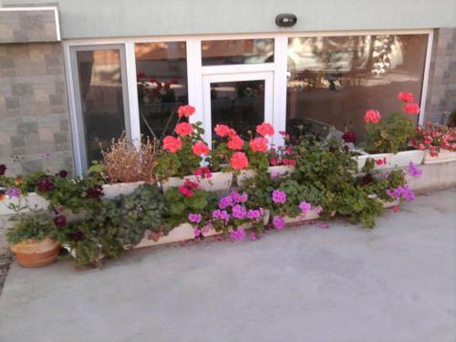Hostal Aleks Guest House